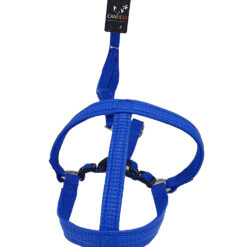 Laisse Harnais Bleu - 20mmx120cm pour chien de race moyenne- CANIJESS