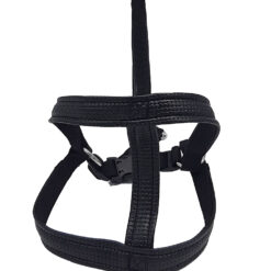 Laisse Harnais Noir - 25mmx120cm pour chien de grande race - CANIJESS