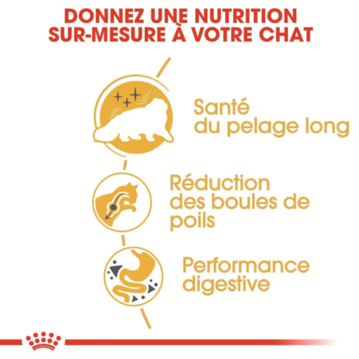 Royal Canin Persian Adulte 2 Kg ou 10 Kg – Image 2