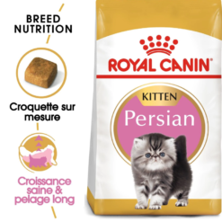 Royal Canin Persan Kitten 2 Kg ou 10 Kg