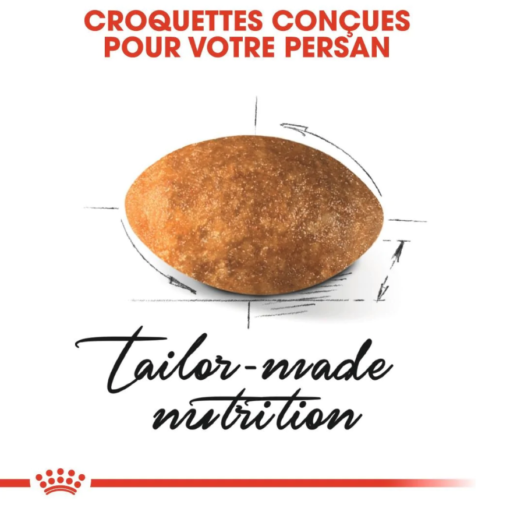 Royal Canin Persian Adulte 2 Kg ou 10 Kg – Image 3