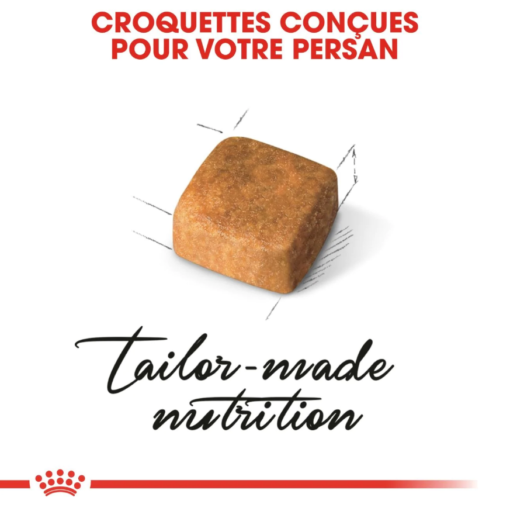 Royal Canin Persan Kitten 2 Kg ou 10 Kg – Image 3