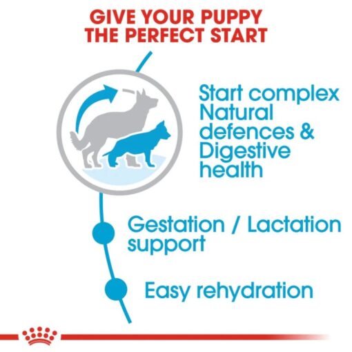Royal Canin Maxi Starter Mother and Babydog 15 Kg – Image 3