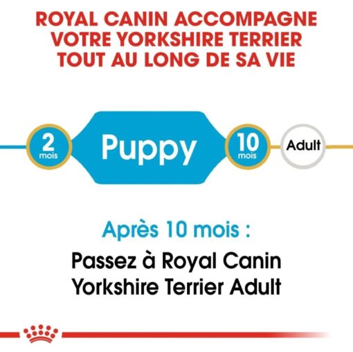 Royal Canin Chiot Yorkshire Terrier 1.5 Kg – Image 4