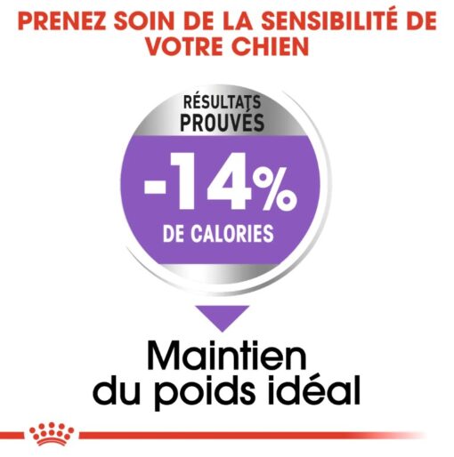 Royal Canin Mini Sterilised 3 kg – Image 2