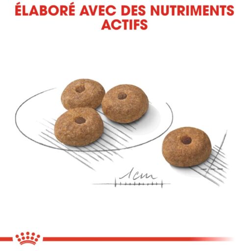 Royal Canin Mini Sterilised 3 kg – Image 3