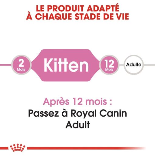 Royal Canin Kitten 10 kg – Image 5