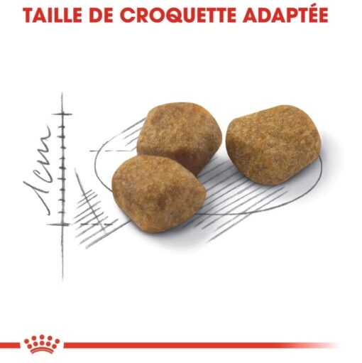 Royal Canin Fit 2 kg | 4 kg | 10kg – Image 3