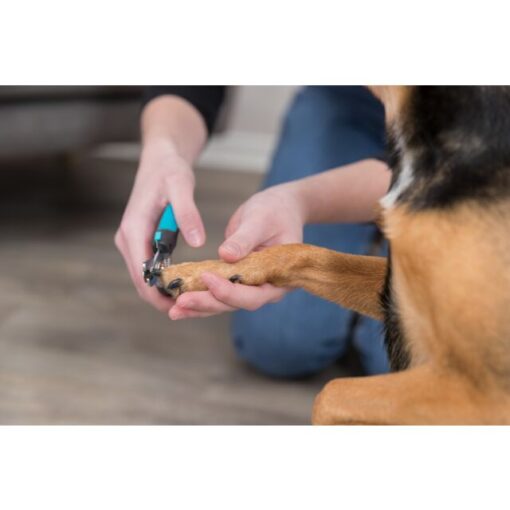Coupe ongles (Trixie) pour chiens de petite et moyenne taille 16cm – Image 3