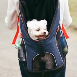 Sac et cage de transport pour chien