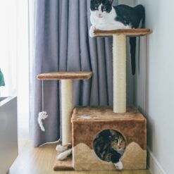 Arbres à Chat / Griffoirs