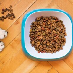 Croquettes pour chien