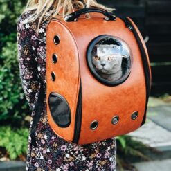 Sac et cage de transport pour chat