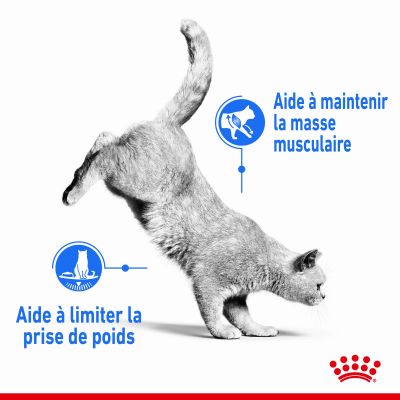 Royal Canin Light Weight Care Adulte 1.5 kg – Image 4