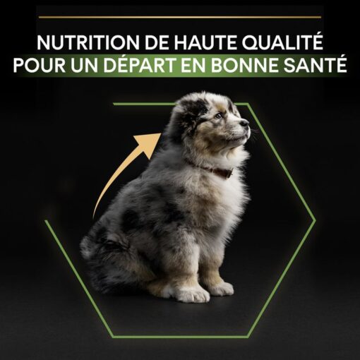 Pro Plan Medium Puppy Healthy Start pour chien 12kg – Image 5