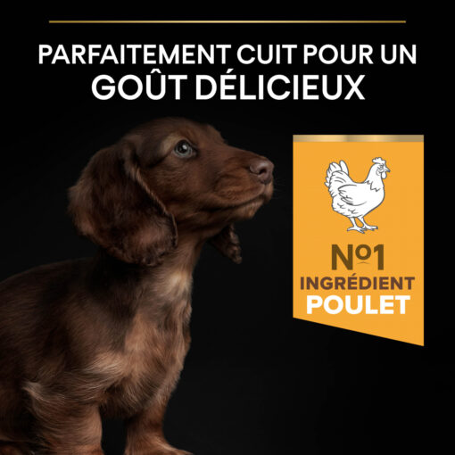 Pro Plan Small and Mini Puppy - Poulet 3Kg – Image 7