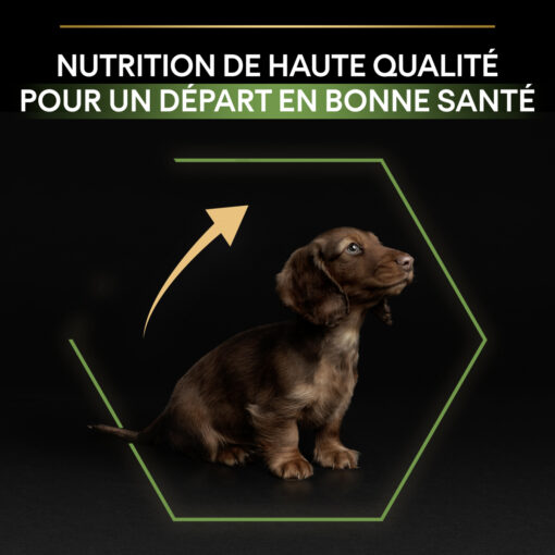 Pro Plan Small and Mini Puppy - Poulet 3Kg – Image 4