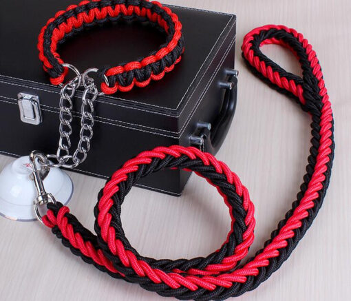 Laisse avec collier pour grand chien (Rouge/Noir | Noir | Bleu/Noir | Vert foncé) – Image 2