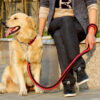 Laisse avec collier pour grand chien (Rouge/Noir | Noir | Bleu/Noir | Vert foncé)