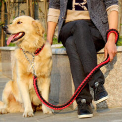 Laisse avec collier pour grand chien (Rouge/Noir | Noir | Bleu/Noir | Vert foncé)