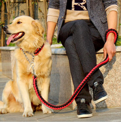 Laisse avec collier pour grand chien (Rouge/Noir | Noir | Bleu/Noir | Vert foncé)