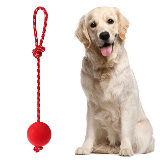 Lanceur de balle en caoutchouc solide pour chien – Image 4