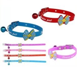 Collier en Silicone pour Chat