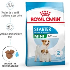 Royal Canin Mini Starter Mother And Babydog 4kg
