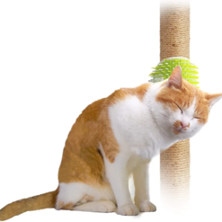 Brosse de toilettage pour chat 2 en 1 - Lifestyle