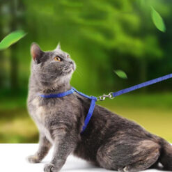 Harnais pour Chat Multicolor ( Arc en ciel | Bleu | Rose | Rouge | Noir | Violet )