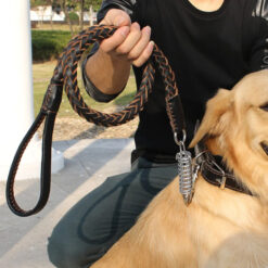 Laisse en cuire avec ressort pour grand chien (1.2m)