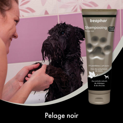 Shampoing Beaphar premium Empreinte Pour pelage noir (250 ml) – Image 4