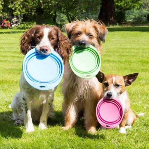 Gamelle pliable pour les sorties et les voyages 0.75L – Image 3