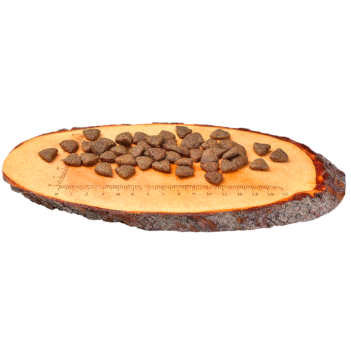 Carnilove Dog Croquettes Salmon Pour Chien Toute Race (Saumon) 12kg – Image 2