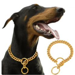 Collier en Acier Inoxydable pour Chien Plaqué Or