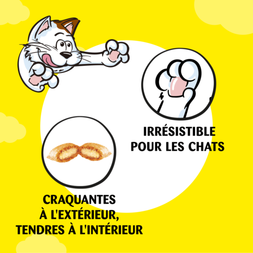 Catisfactions Friandises pour chat et chaton 60g (Boeuf | Poulet | Saumon | Canard | Fromage) – Image 2
