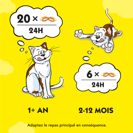 Catisfactions Friandises pour chat et chaton 60g (Boeuf | Poulet | Saumon | Canard | Fromage) – Image 4