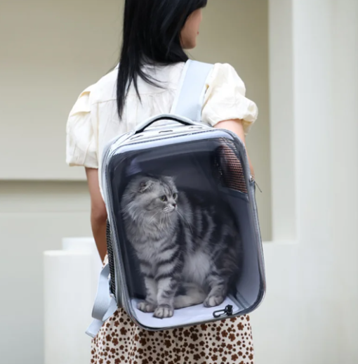 Sac de Transpost Transparent Carré Chat et petit Chien 40x28x28cm – Image 2