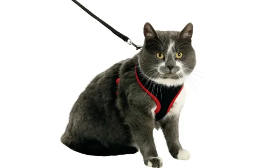 Flamingo Harnais avec laisse Chat Medium Harms Rouge Et Noir – Image 2