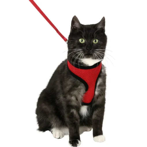 Flamingo Harnais avec laisse Chat Harms Rouge Et Noir – Image 3