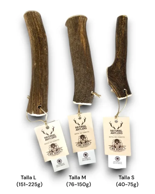 Bois de cerf pour chien – Anneau de dentition naturel pour chien – Image 2