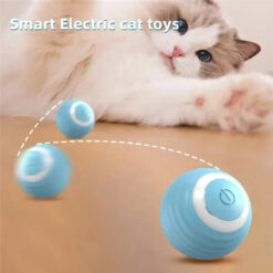 Jouet Chat - Boule Roulante Automatiquement