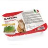 Camon - Herbe à Chats - ORGE-