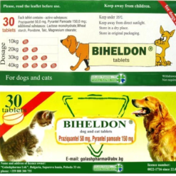 Vermifuge pour Chiens et Chats - 1 comprimé