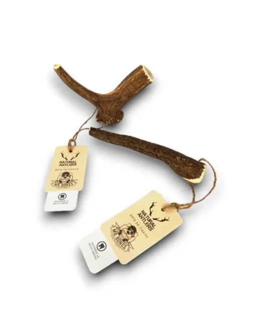 Bois de cerf pour chien – Anneau de dentition naturel pour chien – Image 3