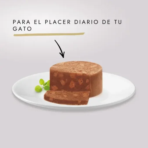 Purina Gourmet Gold Terrine de Poulet 85gr – Image 2