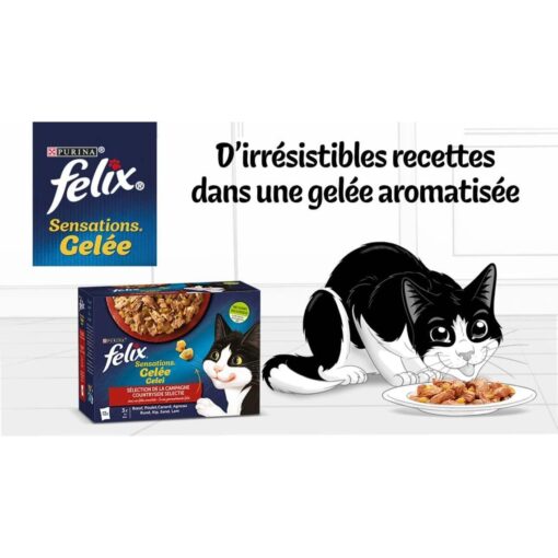 Purina Felix Sensations Sélection de Campagne en Gelée 12x85g – Image 2