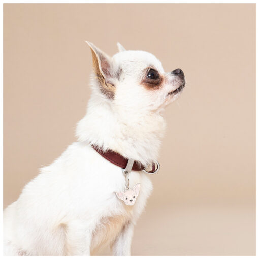 Médaille Friends Chihuahua Marron – Image 3