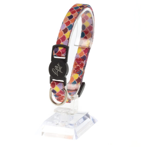Leo Pet Collier Chat Arlequin 20-35cm (Orange ou Bleu)