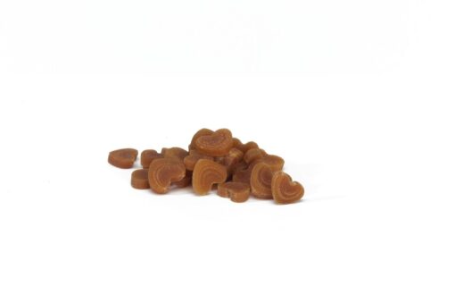 Friandises au Saumon en Forme de Cœur Camon 60g – Image 2